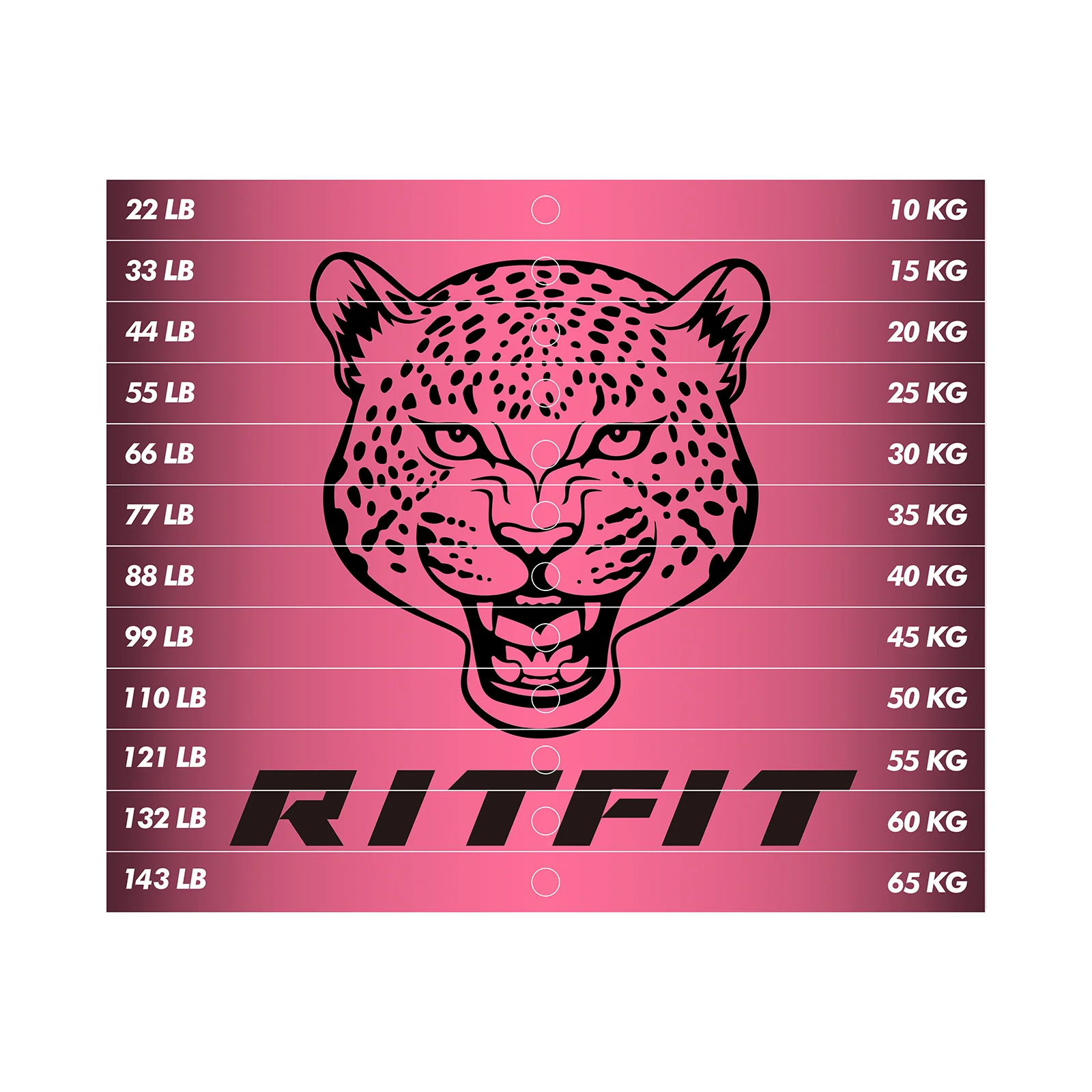 RitFit M1 PRO / M2 PRO Weight Stack Stickers - Image 2
